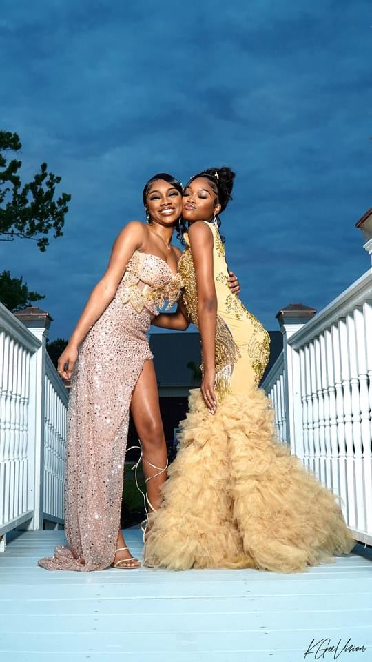Dresses / Gowns 💞